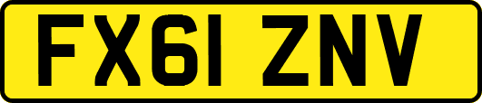 FX61ZNV