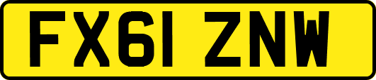FX61ZNW