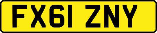 FX61ZNY