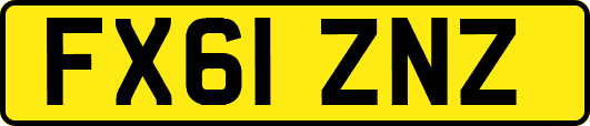 FX61ZNZ