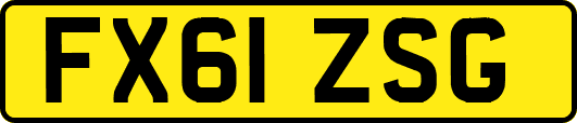 FX61ZSG