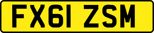FX61ZSM