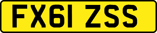 FX61ZSS