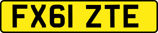 FX61ZTE