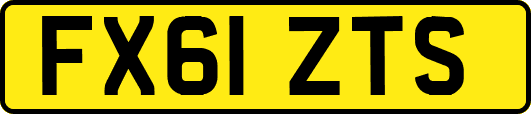 FX61ZTS