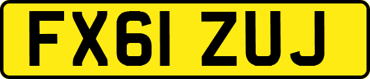 FX61ZUJ