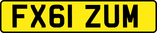 FX61ZUM