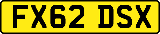 FX62DSX