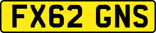 FX62GNS