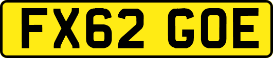 FX62GOE