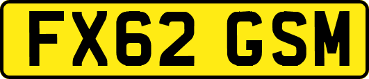 FX62GSM