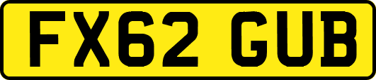 FX62GUB