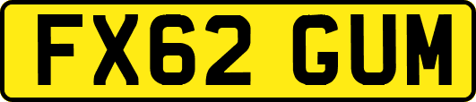 FX62GUM