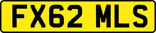 FX62MLS