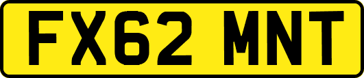 FX62MNT