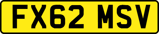 FX62MSV