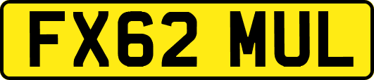 FX62MUL