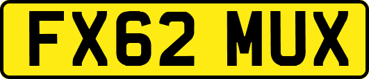 FX62MUX