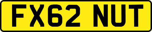 FX62NUT
