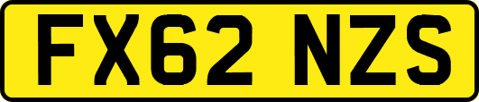 FX62NZS