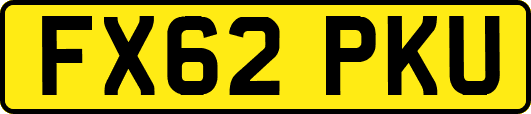 FX62PKU