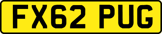 FX62PUG