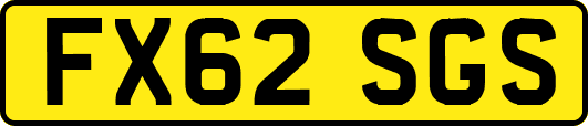 FX62SGS