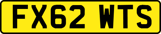 FX62WTS