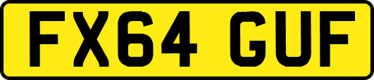 FX64GUF
