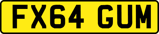 FX64GUM