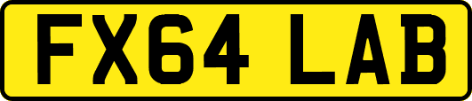 FX64LAB