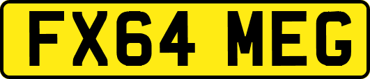 FX64MEG