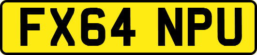 FX64NPU