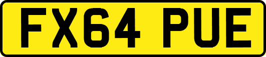 FX64PUE