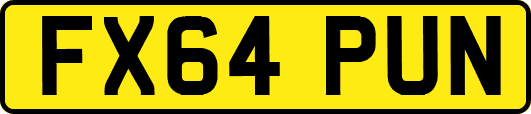 FX64PUN
