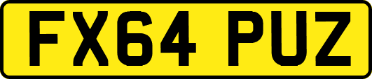 FX64PUZ
