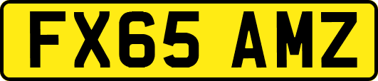 FX65AMZ