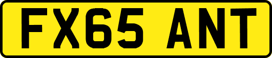 FX65ANT