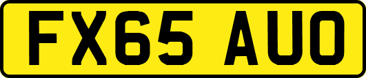 FX65AUO