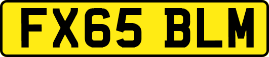 FX65BLM