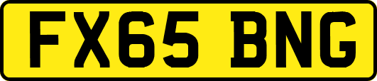 FX65BNG