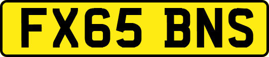 FX65BNS