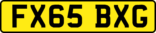 FX65BXG