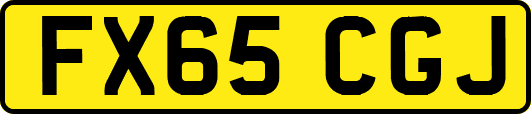 FX65CGJ