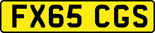 FX65CGS