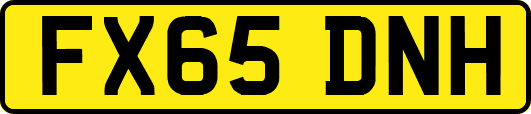 FX65DNH
