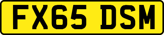 FX65DSM