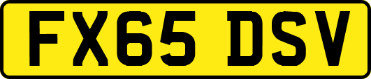 FX65DSV