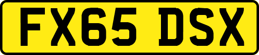 FX65DSX