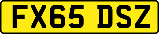 FX65DSZ